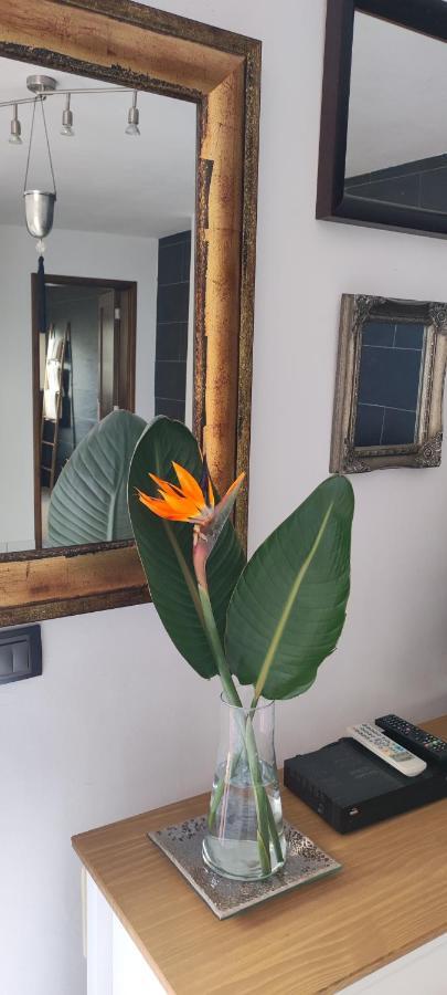 Casa Sandra En Las Norias Todoque Con Wi-Fi ลอสยานอส เด อารีดาเน ภายนอก รูปภาพ